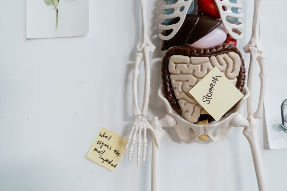 W poradni gastrologicznej leczy się m.in. choroby związane z żołądkiem
